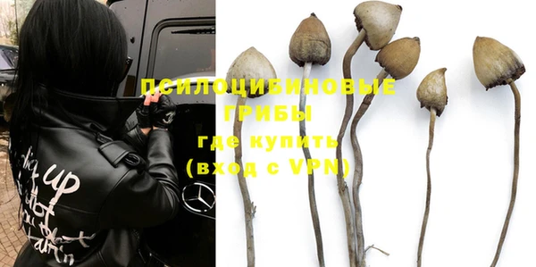 PSILOCYBIN Бородино