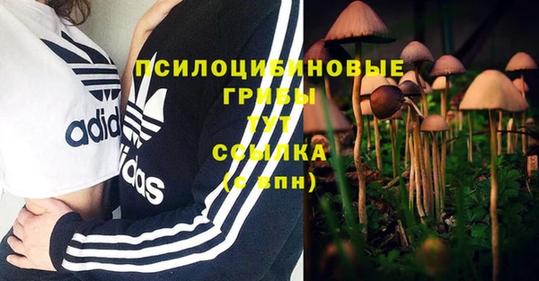 крисы Верхнеуральск