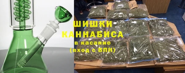 PSILOCYBIN Бородино