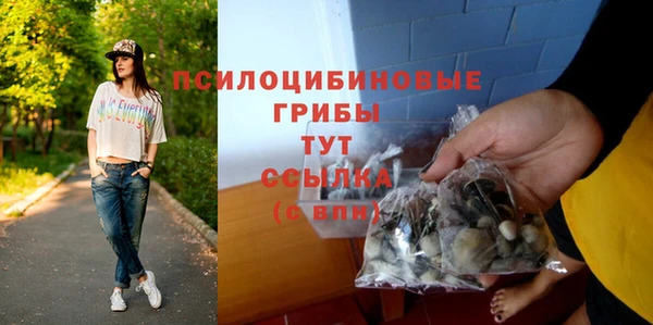 PSILOCYBIN Бородино